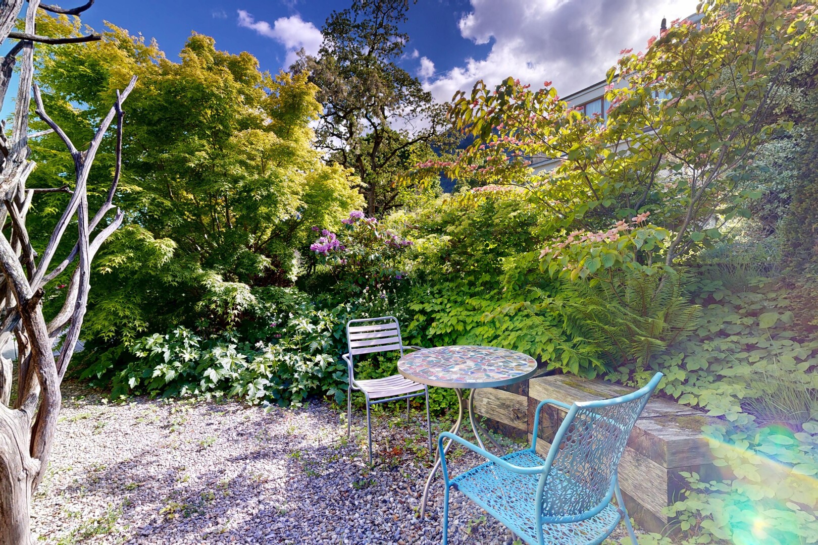 jardin avec day time