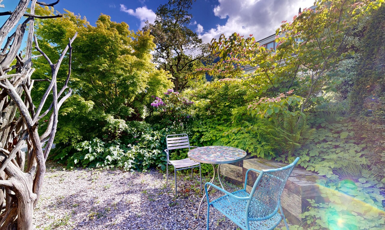 jardin avec day time