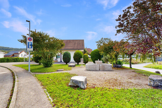 jardin avec day time et pelouse