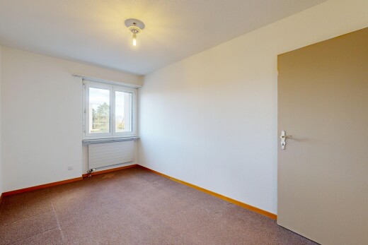 carpeted spare room with baseboards and radiator