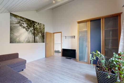 salon avec high end ceiling, vaulted ceiling, plafond voûté, high ceiling, et plafond haut