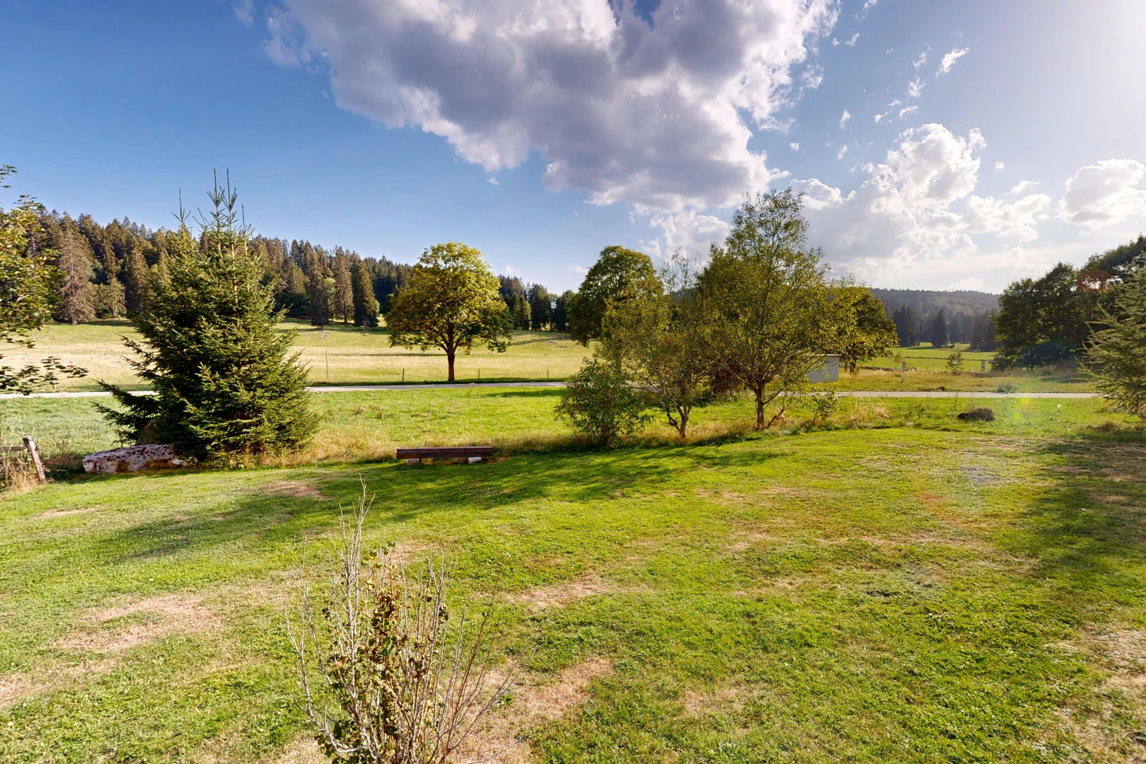 garten mit rasen, ländliche aussicht, rural view, und day time