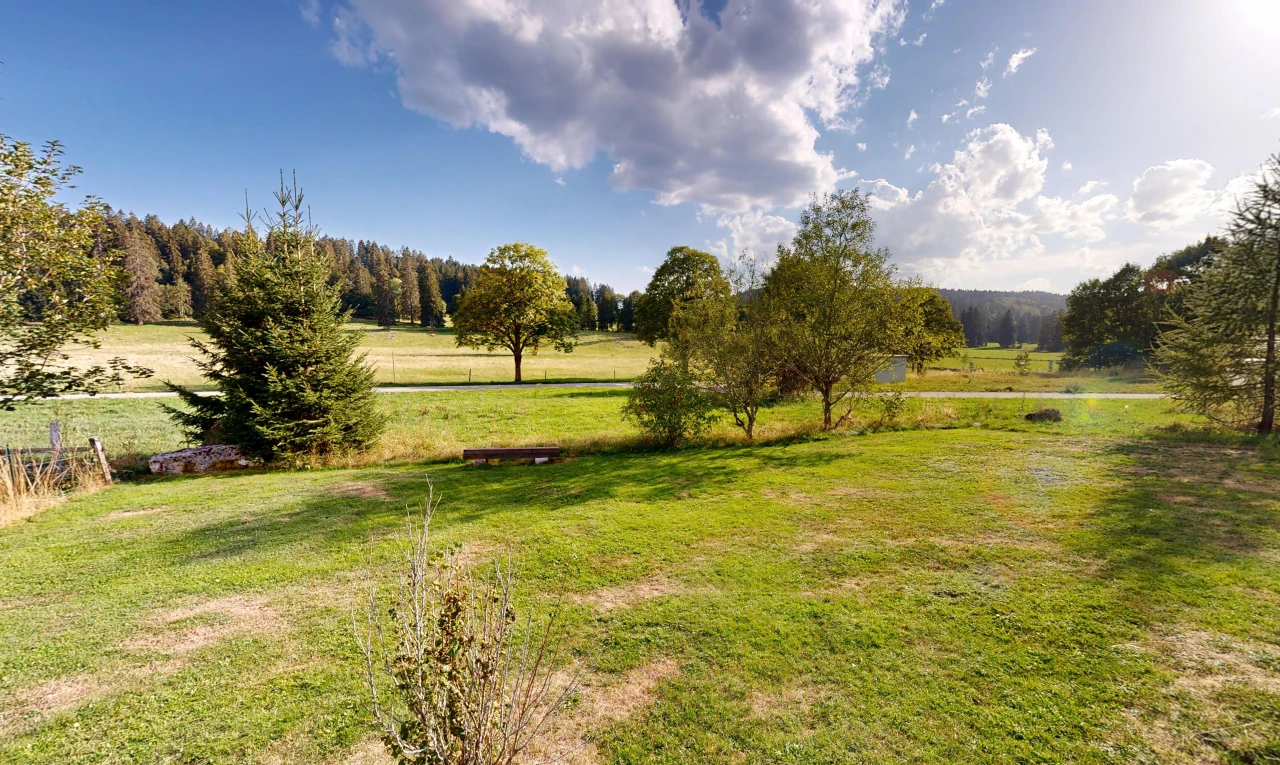 garten mit rasen, ländliche aussicht, rural view, und day time