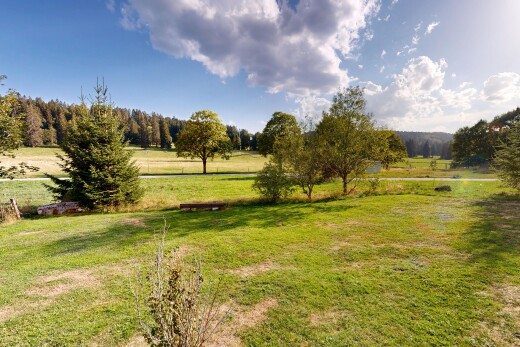 garden with a yard and a view of rural / pastoral area
