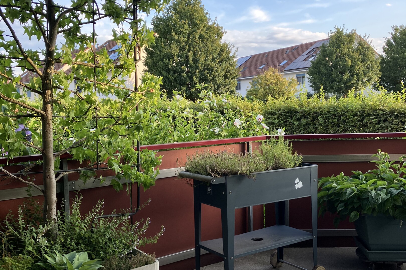 balcon avec day time et from property