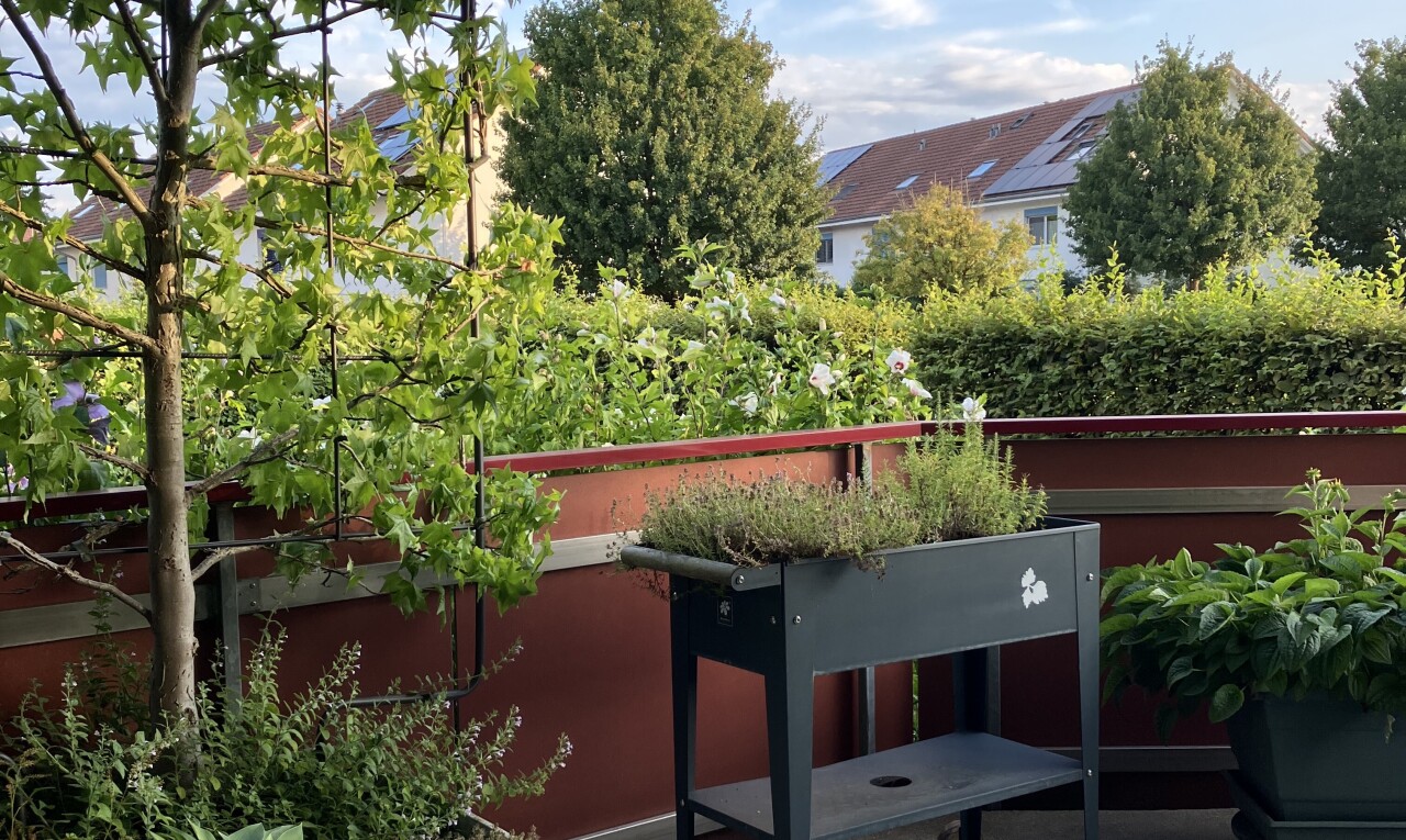 balcon avec day time et from property