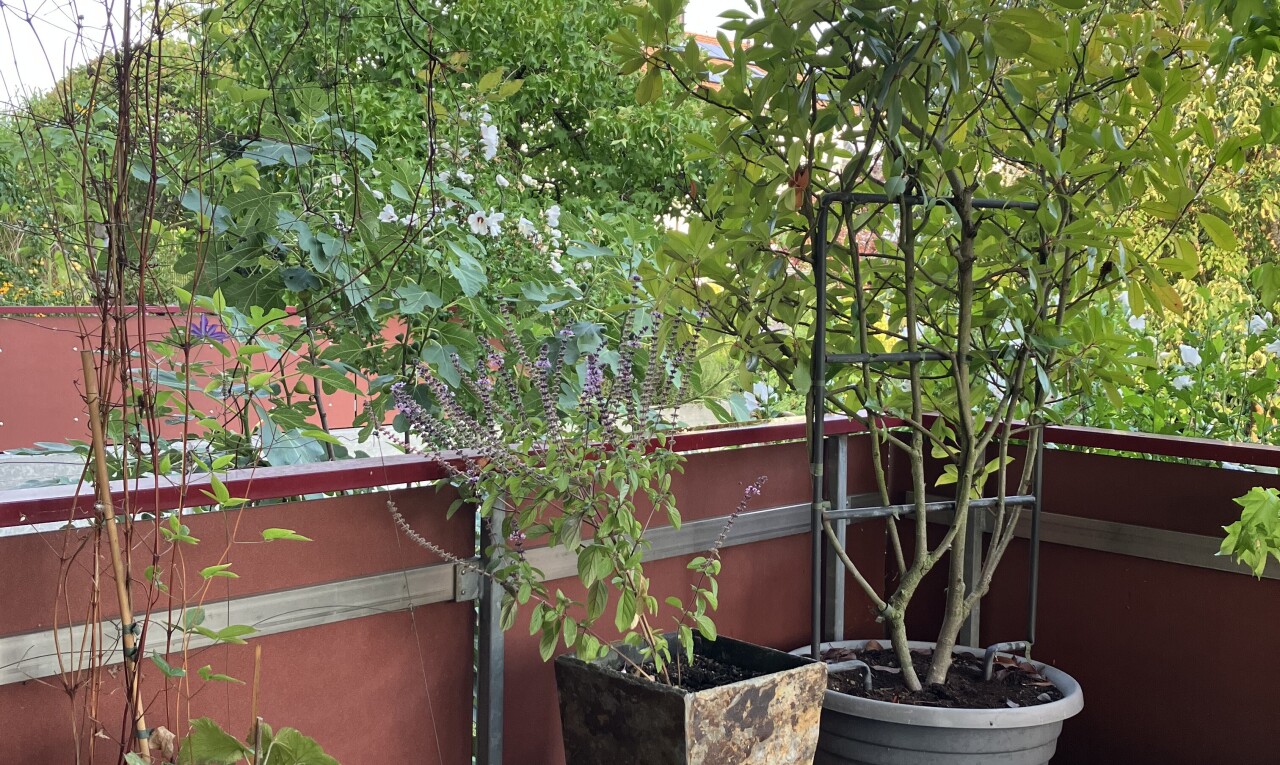 détails avec exterior, from property, et overcast