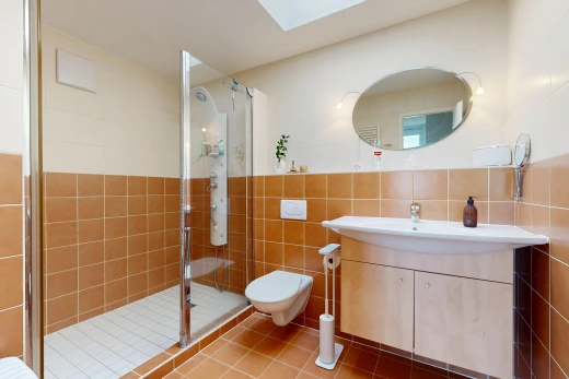 bad mit spiegel, komplettes badezimmer, dusche, tile floor, und fliesenboden