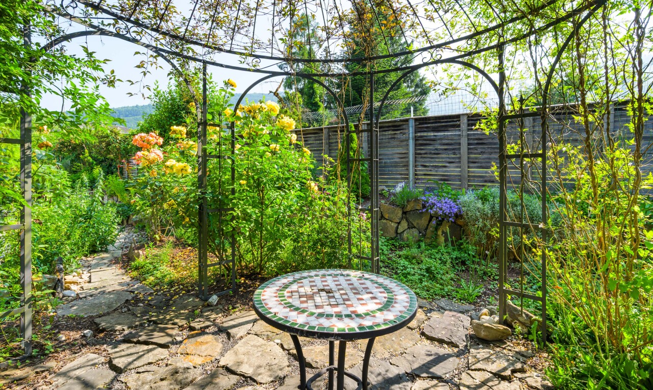 jardin avec clôture et terrasse