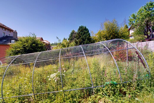 jardin avec day time