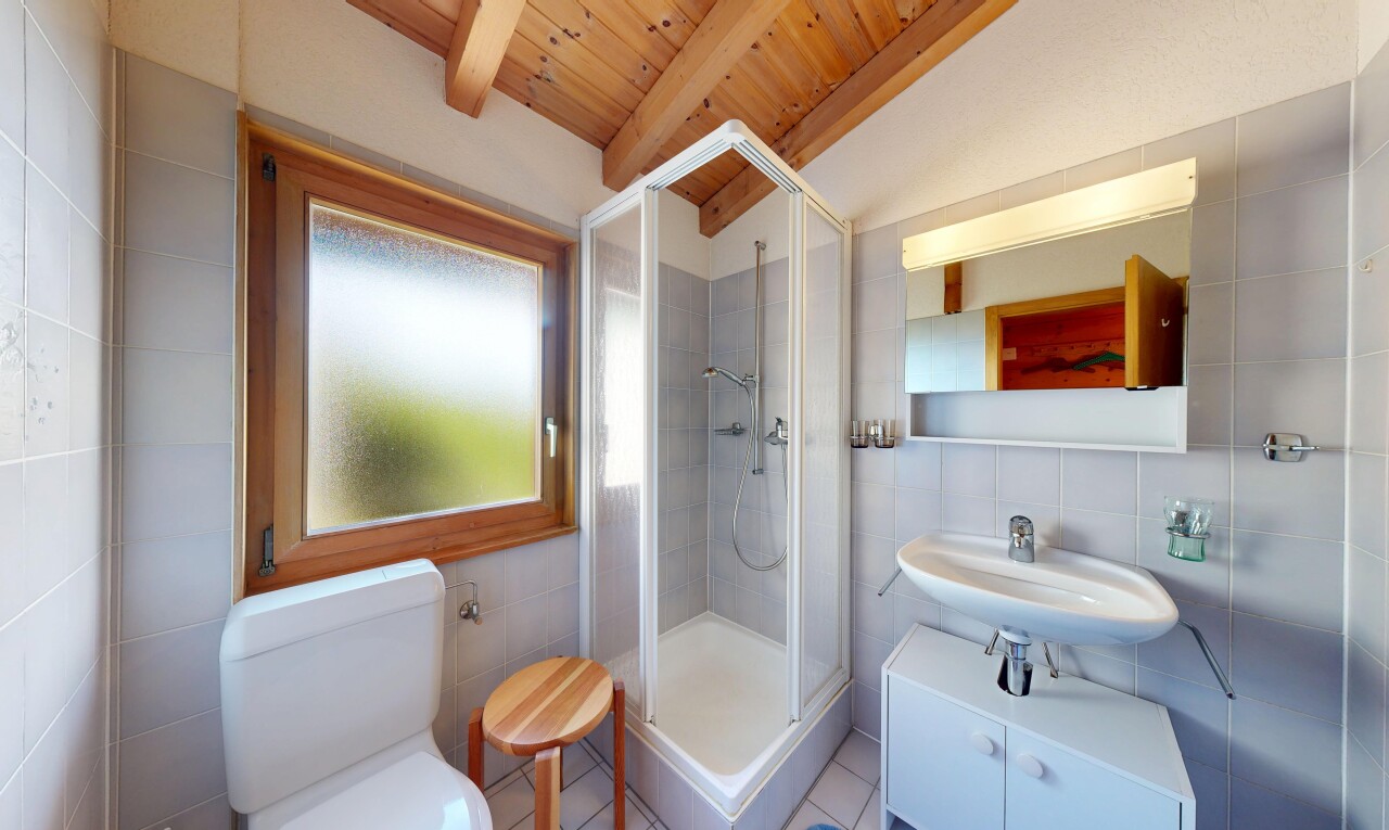 salle de bains avec beamed ceiling, plafond à poutres, miroir, douche, et vaulted ceiling