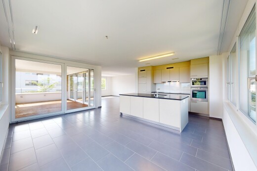 küche mit natural light, natürliches licht, schränke mit flachen paneelen, inside property, und doppel backofen