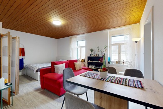salon / salle à manger avec lumière naturelle, natural light, inside property, cloison sèche, et drywall