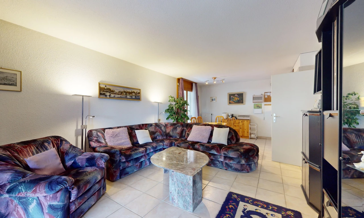 salon avec lumière naturelle et carrelage
