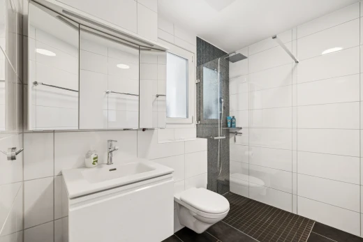 salle de bains avec salle de bain complète, douche, lavabo (ou coiffeuse selon le contexte), miroir, et tile wall
