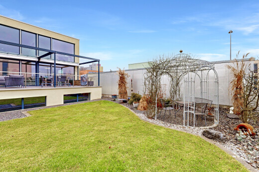 garten mit rasen, day time, from property, zaun, und gewächshaus