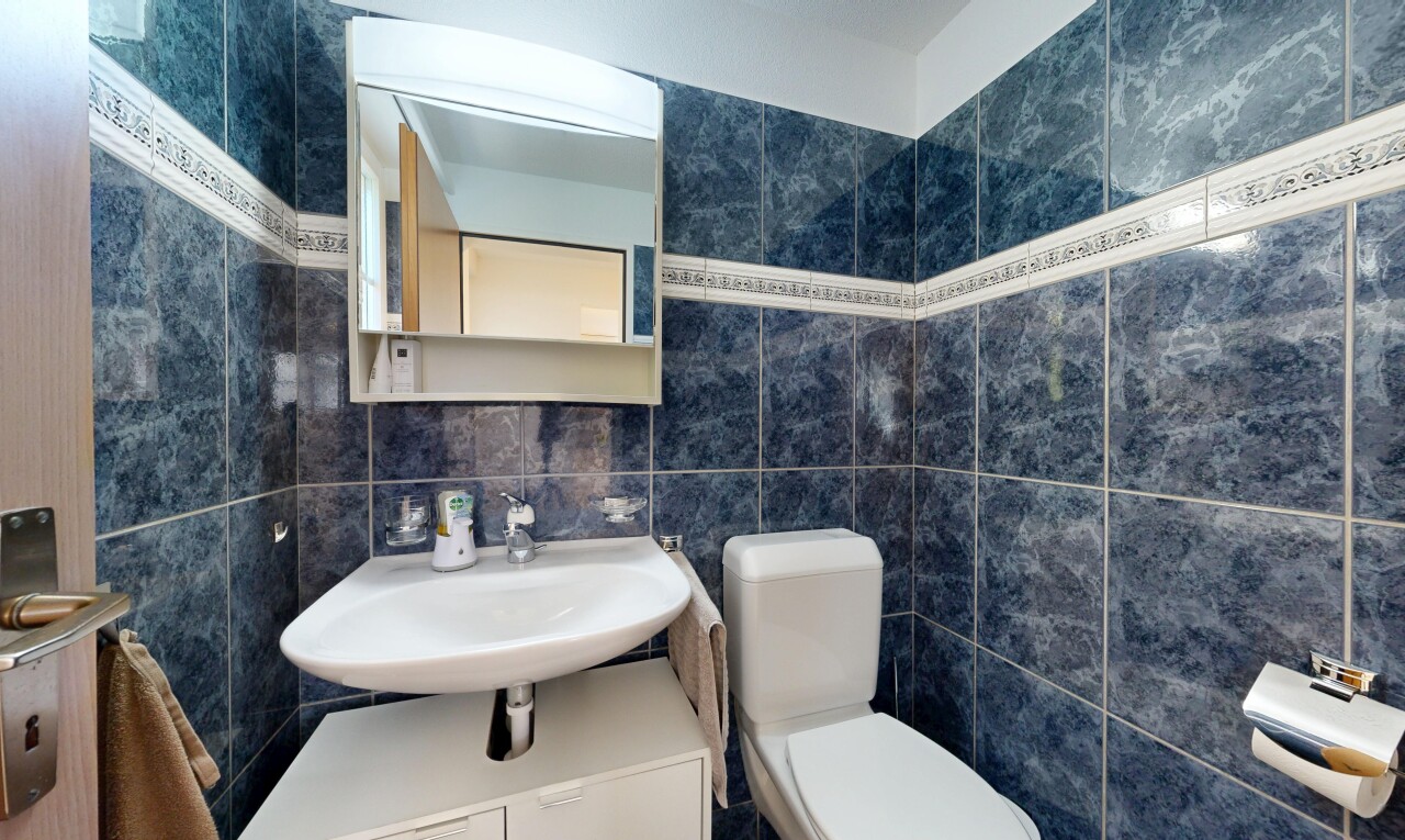 bad mit toilette, tile wall, fliesenwand, spiegel, und gäste-wc