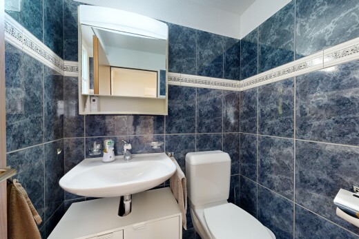 bad mit toilette, tile wall, fliesenwand, spiegel, und gäste-wc