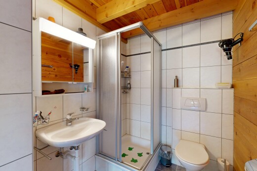 salle de bains avec salle de bain complète, douche, miroir, inside property, et évier