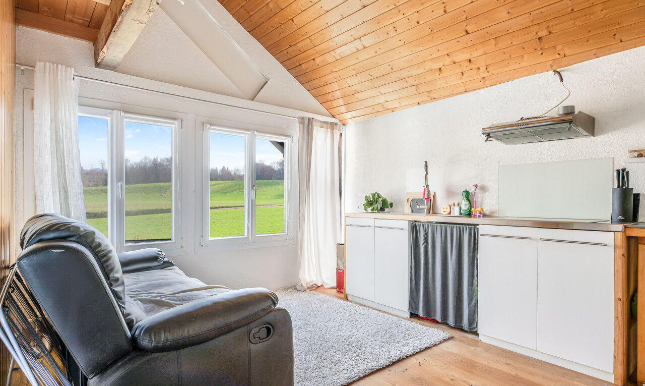 salon avec wood ceiling, plafond en bois, natural light, lumière naturelle, et inside property