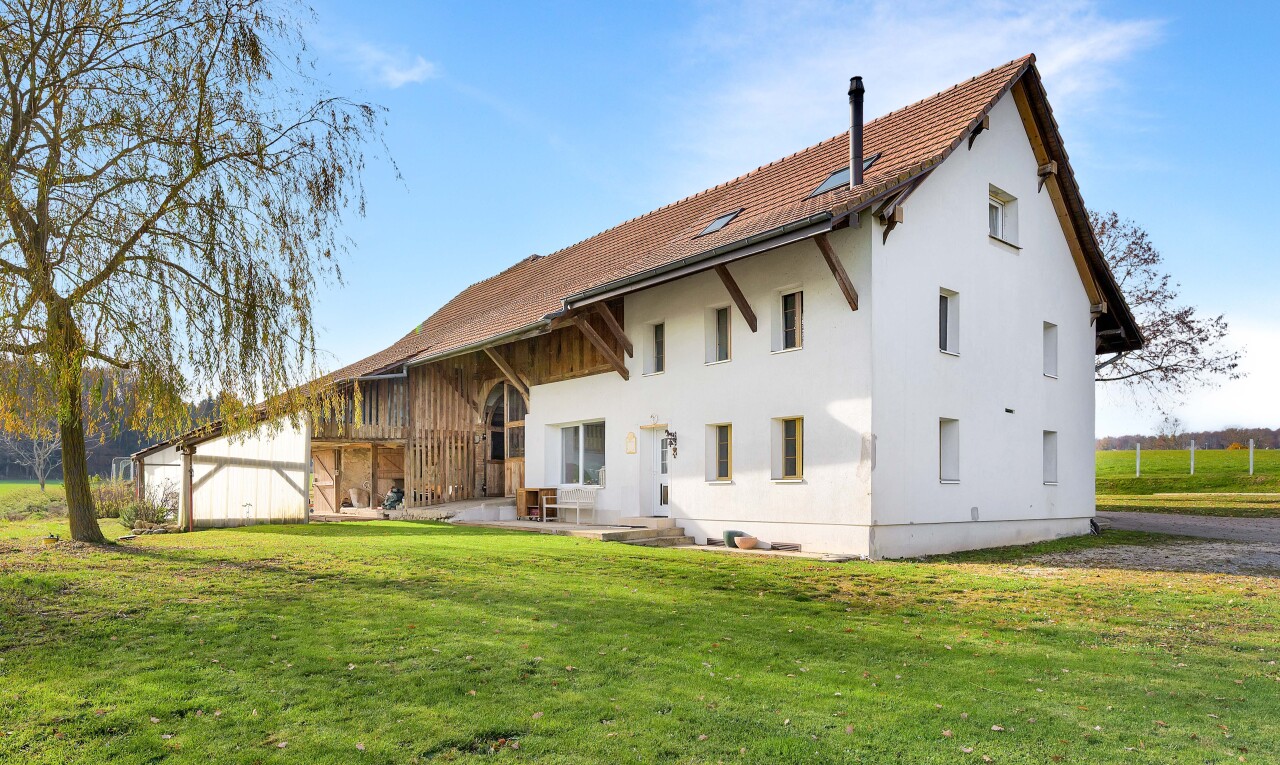 façade avec property visible, pelouse, day time, terrasse, et bardage en stuc