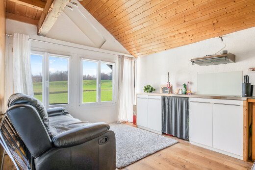 salon avec wood ceiling, plafond en bois, natural light, lumière naturelle, et inside property