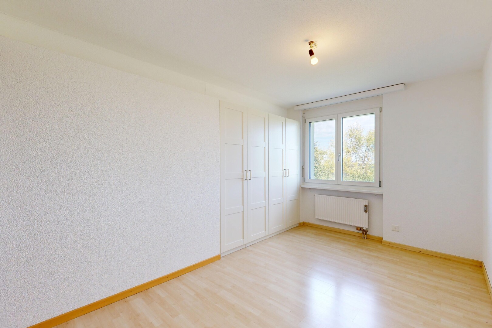 pièce vide avec radiateur, plinthes murales, baseboards wall, sol en finition bois, et wood finish floor