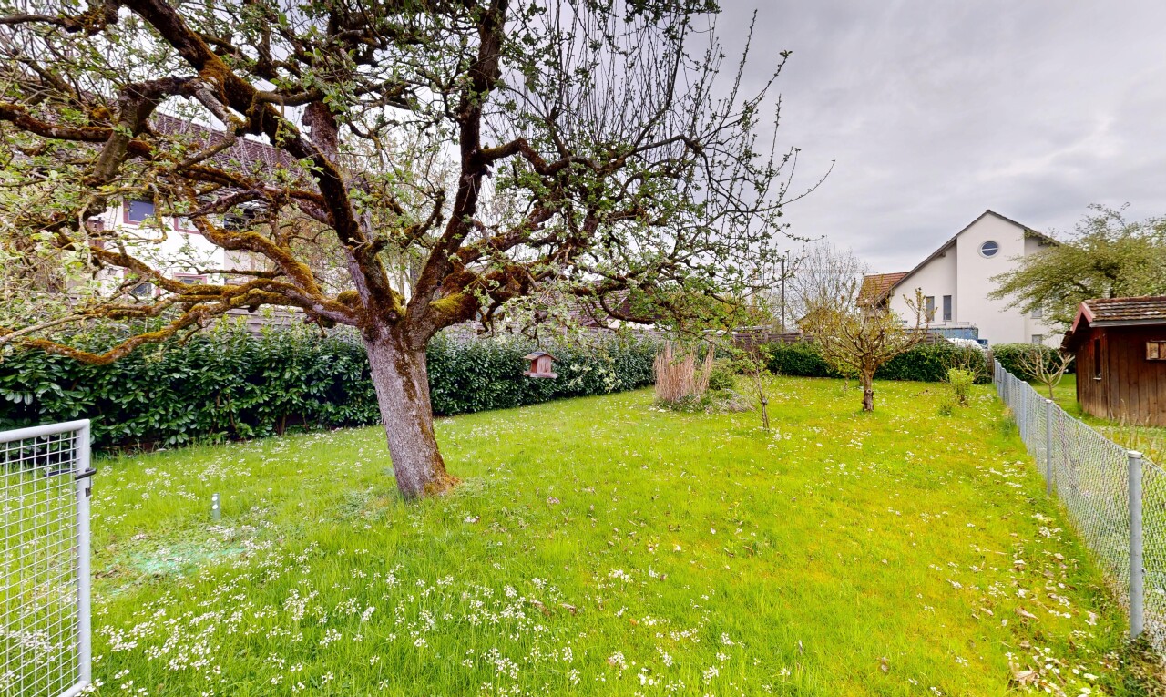 garten mit zaun, overcast, und rasen