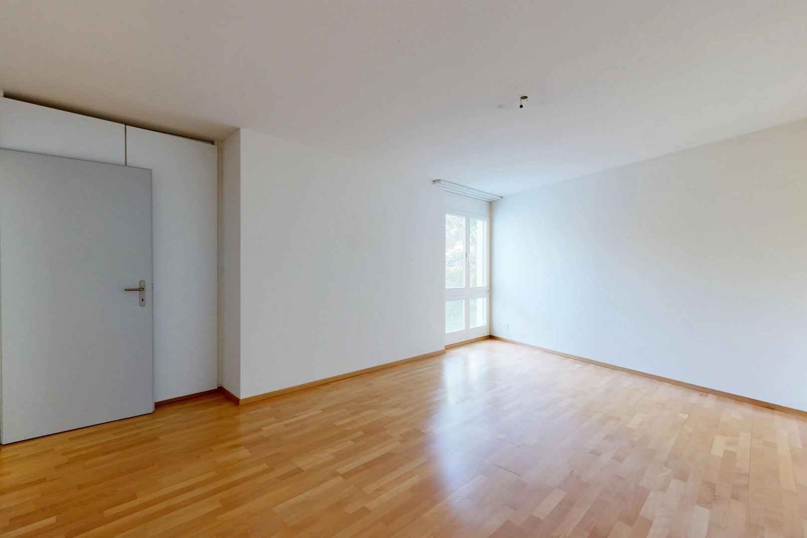 unfurnished room featuring light wood-type flooring