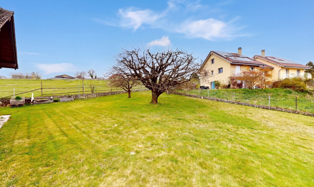 garten mit zaun, rasen, day time, ländliche aussicht, und rural view