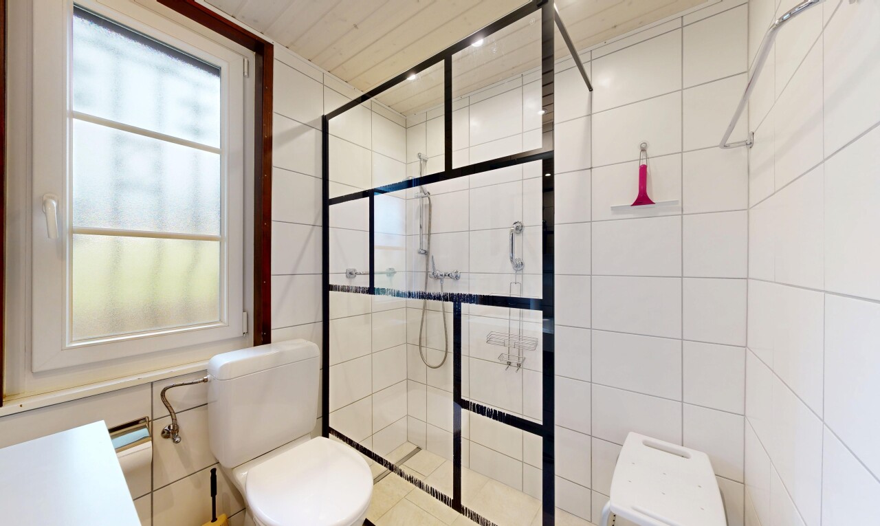 bad mit toilette, komplettes badezimmer, natürliches licht, natural light, und dusche