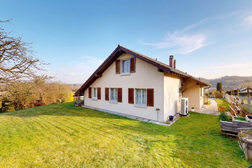 façade avec property visible, pelouse, bardage en stuc, cheminée, et day time