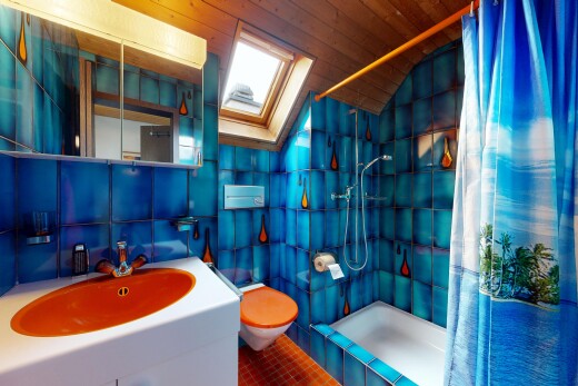 salle de bains avec douche, salle de bain complète, inside property, évier, et miroir