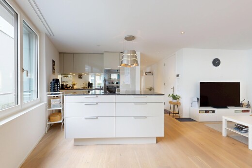 cuisine avec flat panel cabinets, armoires à panneau plat, télévision, drywall, et cloison sèche
