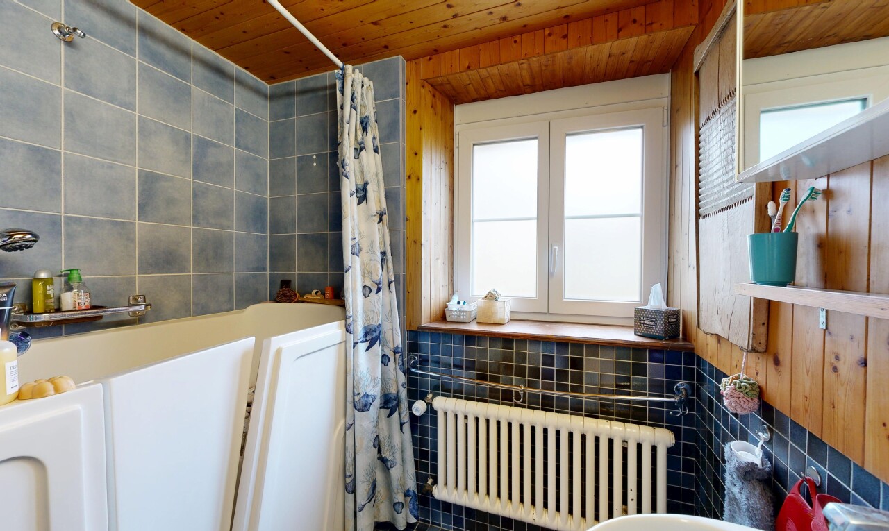 bad mit fliesenwand, tile wall, kühler, natürliches licht, und natural light