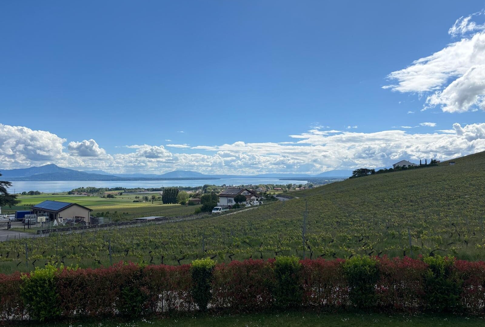 blick auf die berge mit rural view, ländliche aussicht, und day time