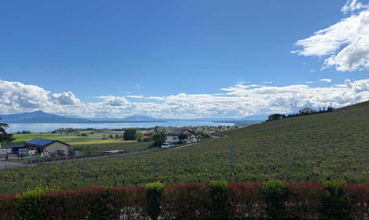 blick auf die berge mit rural view, ländliche aussicht, und day time