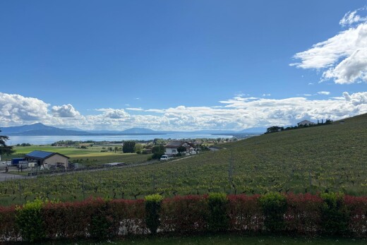 blick auf die berge mit rural view, ländliche aussicht, und day time