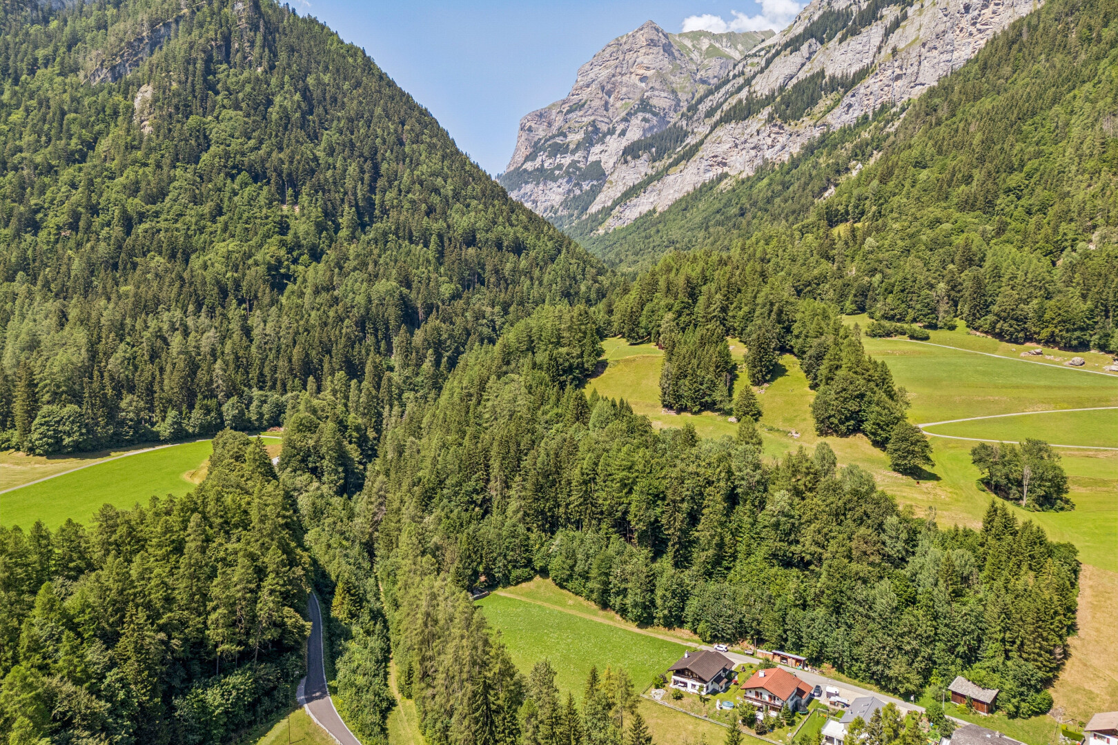 blick auf die berge mit forest view, waldblick, mountain view, blick auf die berge, und day time