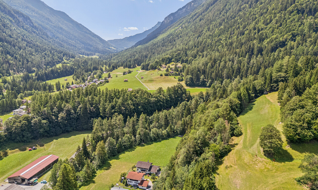 blick auf die berge mit forest view, waldblick, aerial view, mountain view, und blick auf die berge