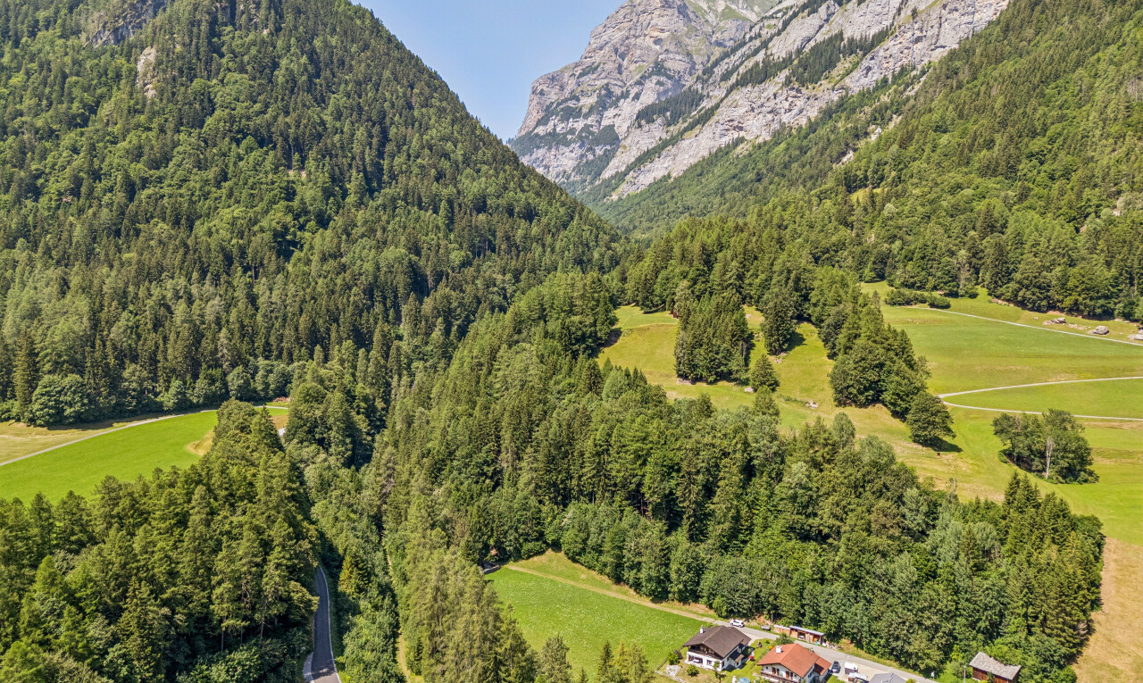 blick auf die berge mit forest view, waldblick, mountain view, blick auf die berge, und day time