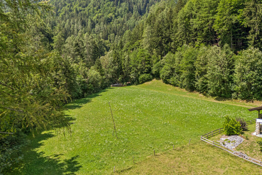 garten mit rasen, forest view, und waldblick