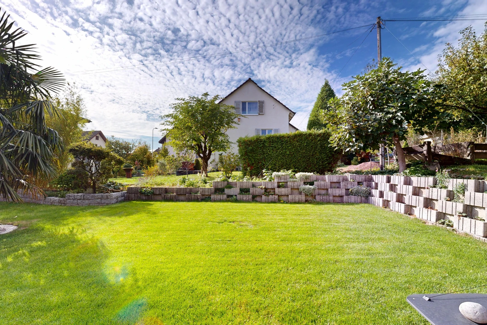 garden featuring a yard