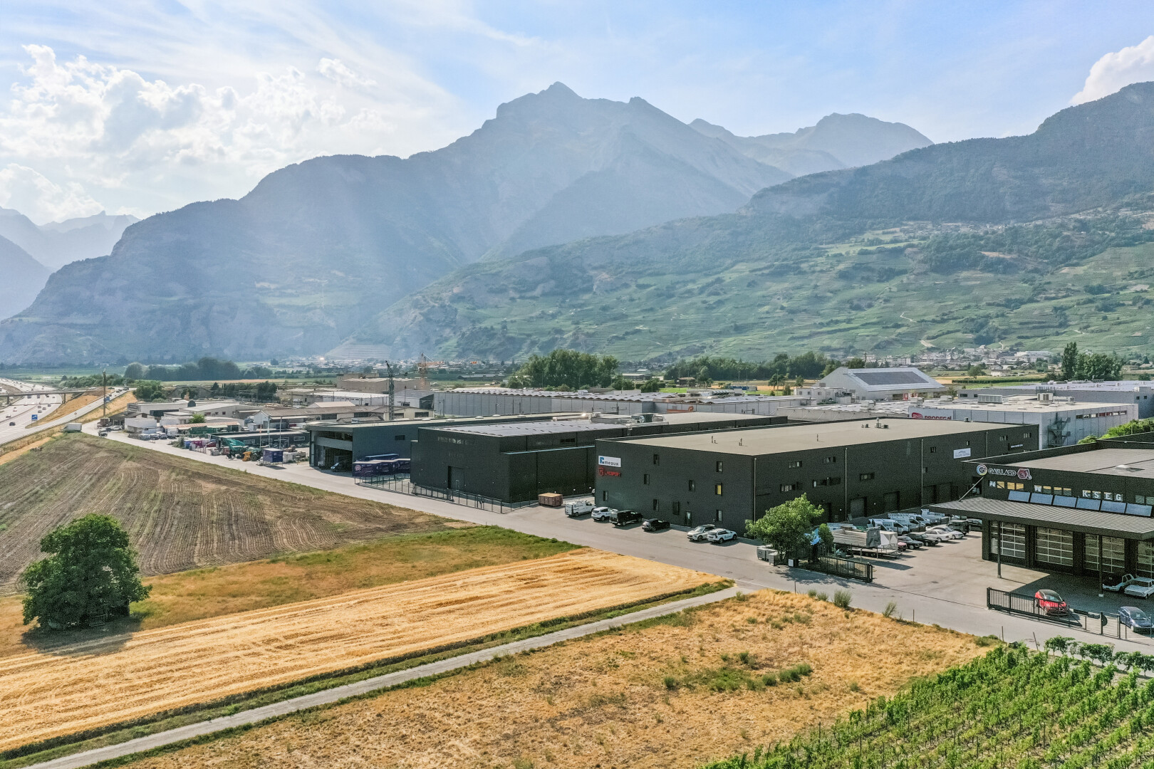 vue sur la montagne avec day time, vue sur le verger/agriculture, orchard / agricultural view, vue sur la montagne, et mountain view