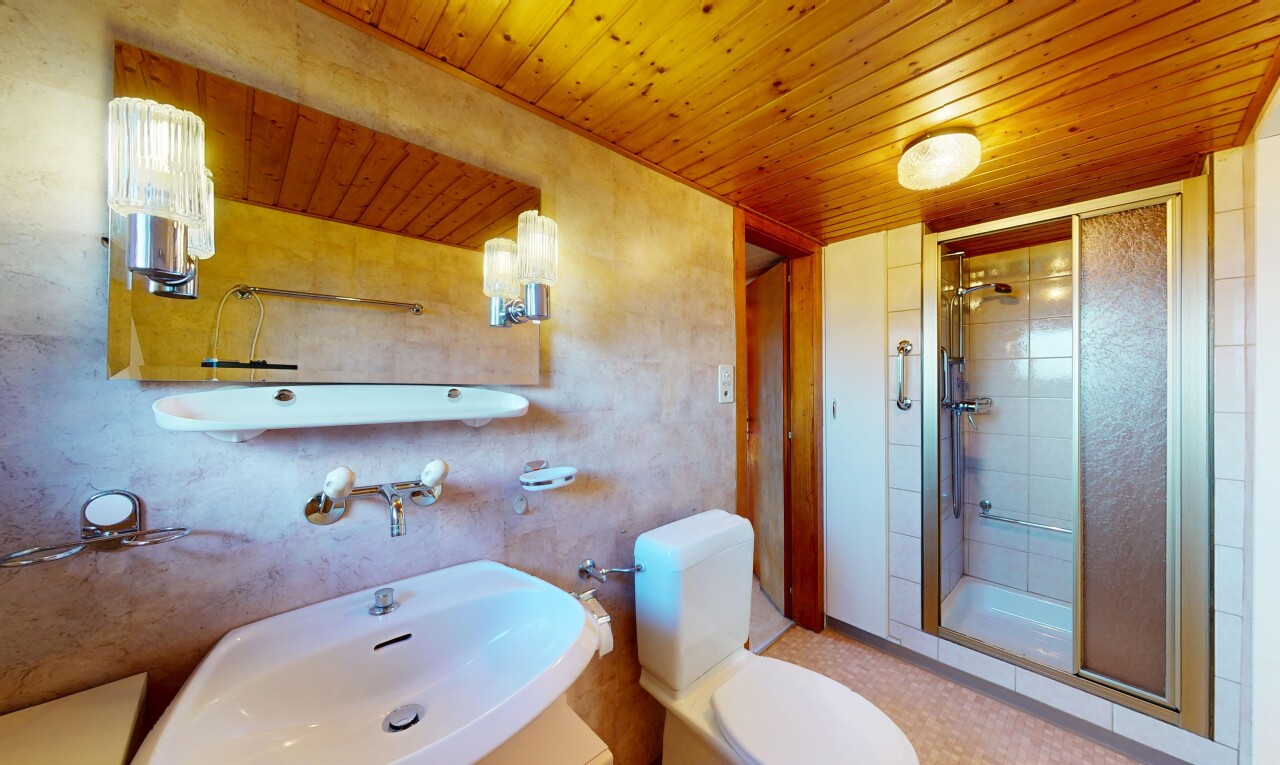 salle de bains avec plafond en bois, salle de bain complète, toilette, douche, et plafond bas
