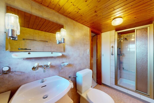 salle de bains avec plafond en bois, salle de bain complète, toilette, douche, et plafond bas