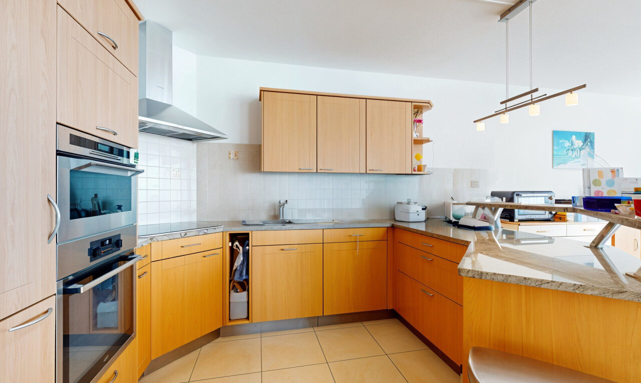 cuisine avec dosseret, backsplash, hotte, péninsule de cuisine, et étagères ouvertes