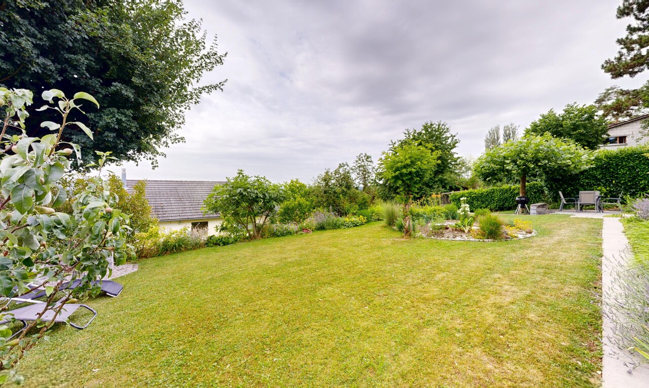 garten mit rasen, overcast, und from property