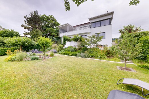 jardin avec overcast et pelouse