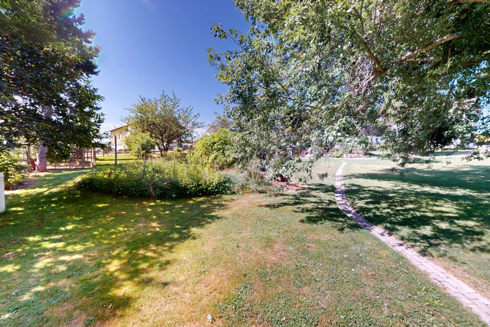 garten mit rasen